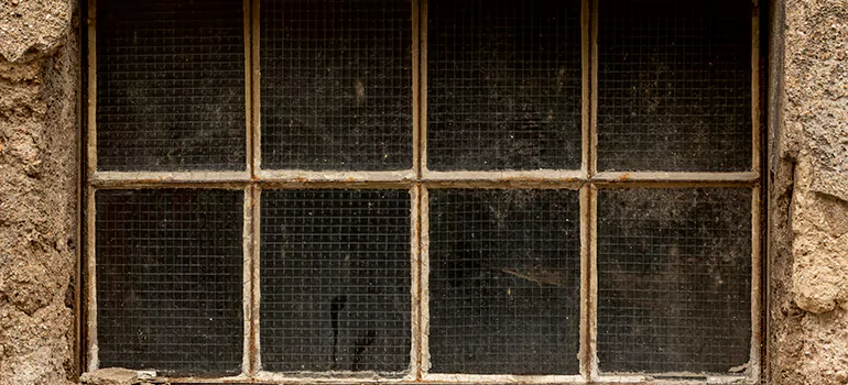 Traditional Double Front Doors in West Pensacola, FL