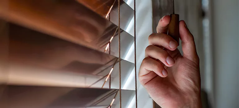 Double Roller Blinds in West Pensacola, FL