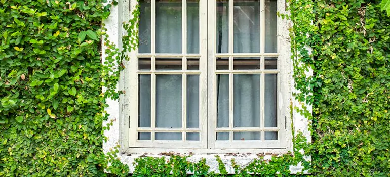 Garden Window Repair Near Me in West Pensacola, FL