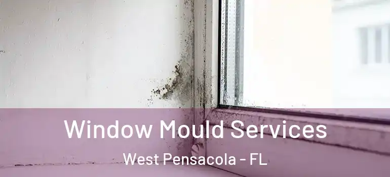 Window Mould Services West Pensacola - FL